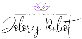 logo mon salon web