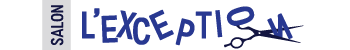 logo mon salon web