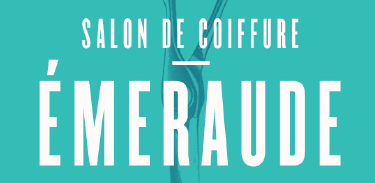 logo mon salon web