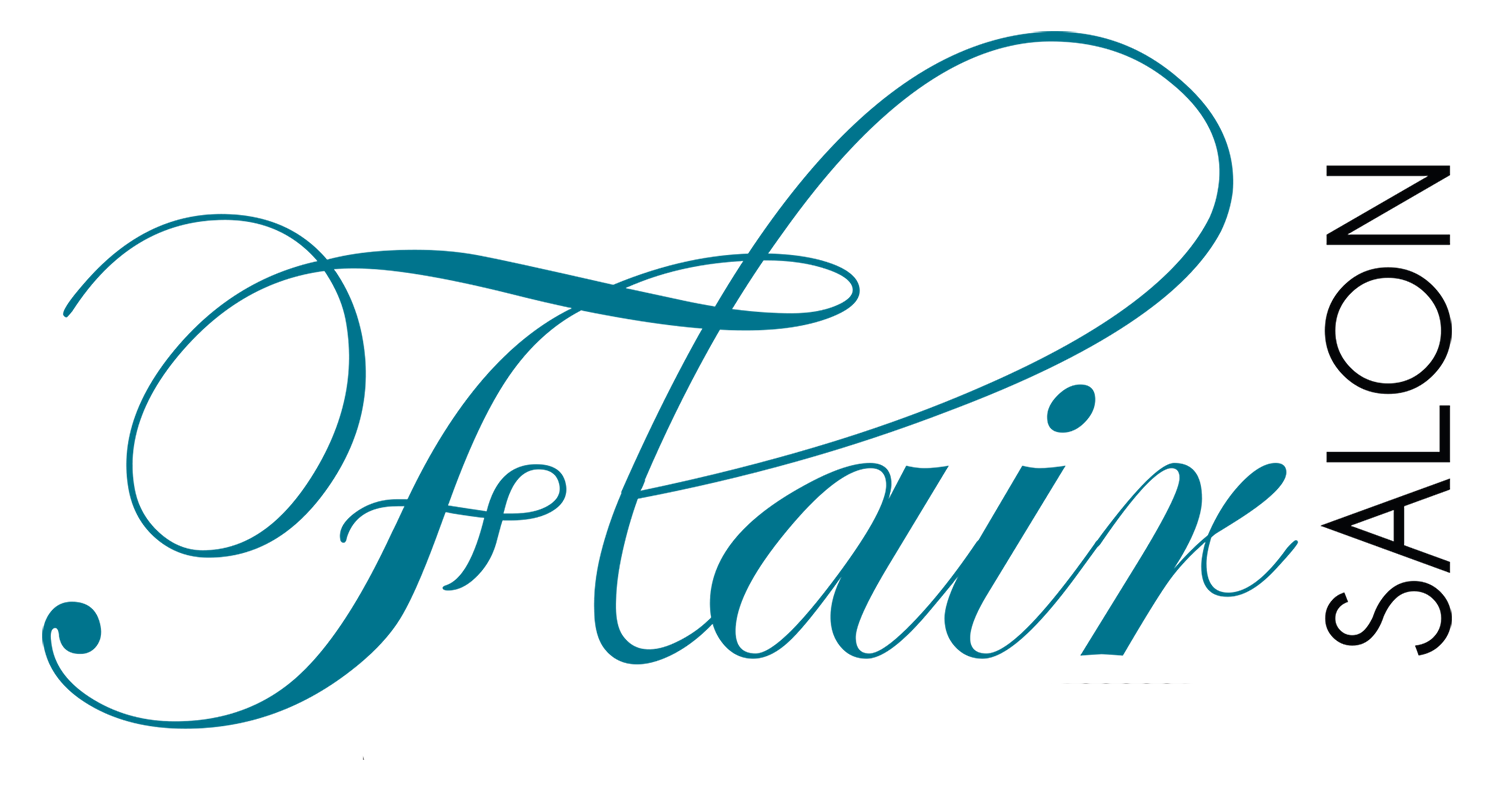 logo mon salon web