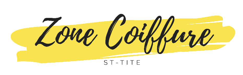logo mon salon web