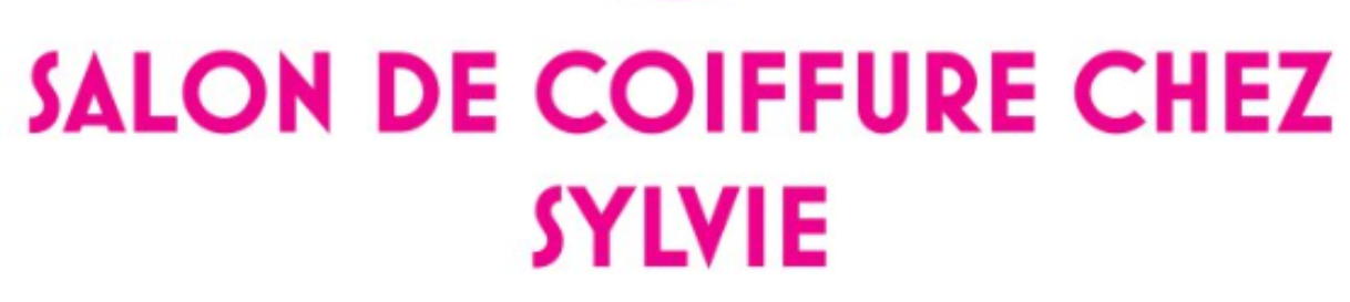logo mon salon web