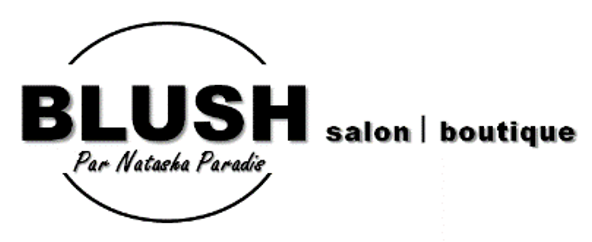 logo mon salon web