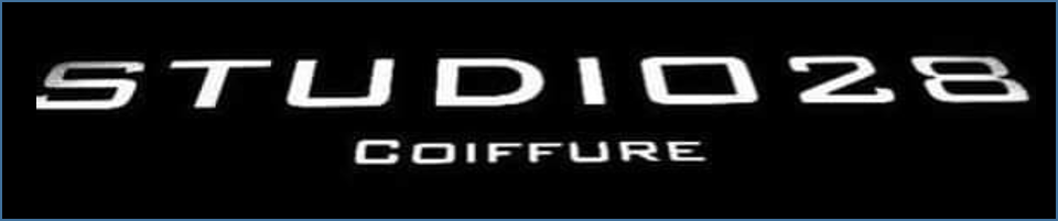 logo mon salon web