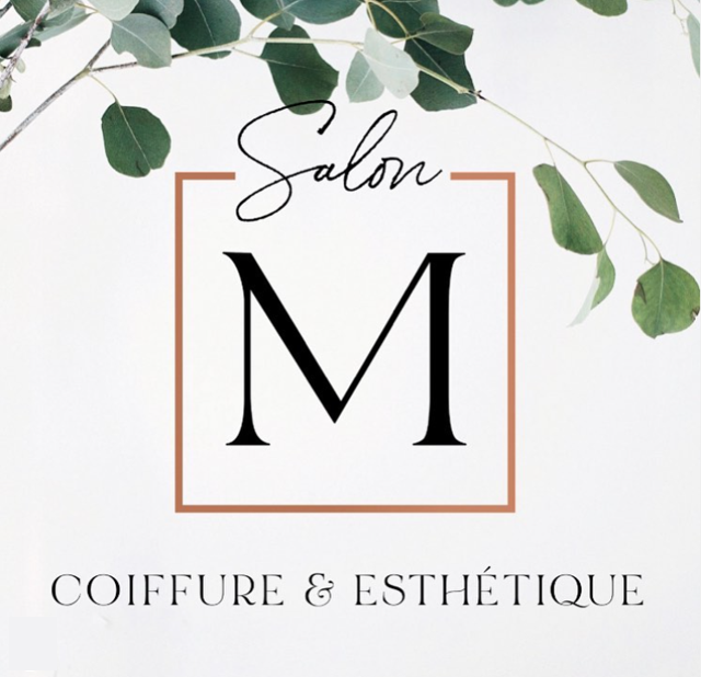 logo mon salon web