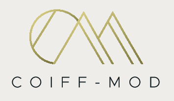 logo mon salon web