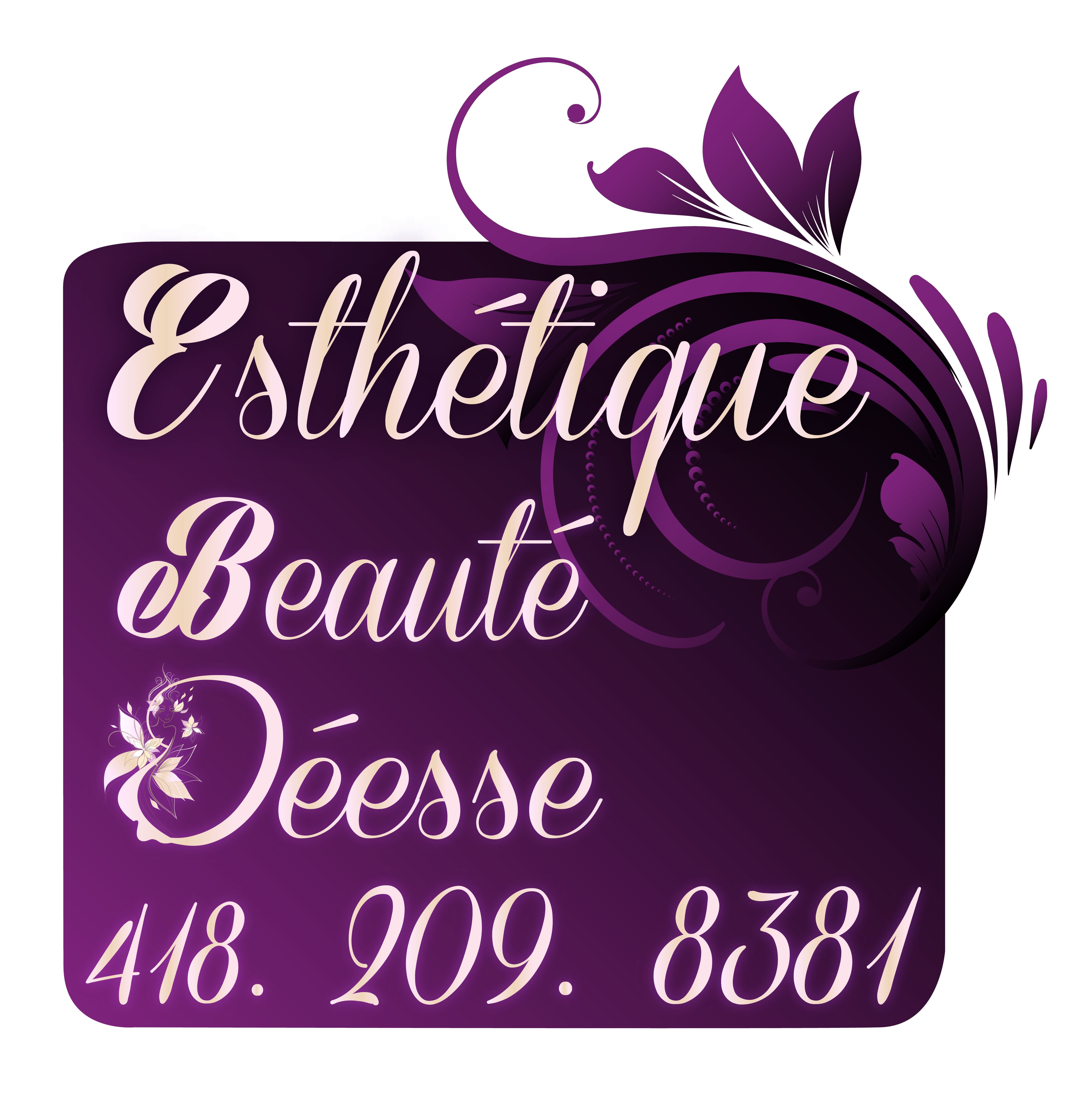 logo mon salon web