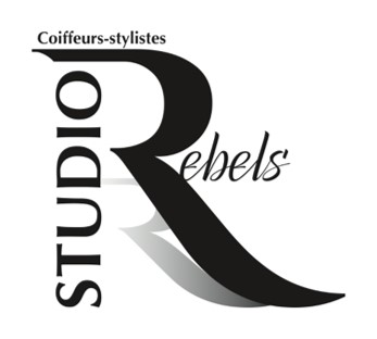 logo mon salon web