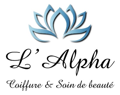 logo mon salon web