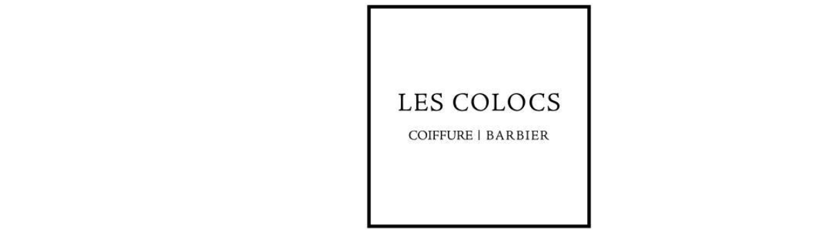 logo mon salon web