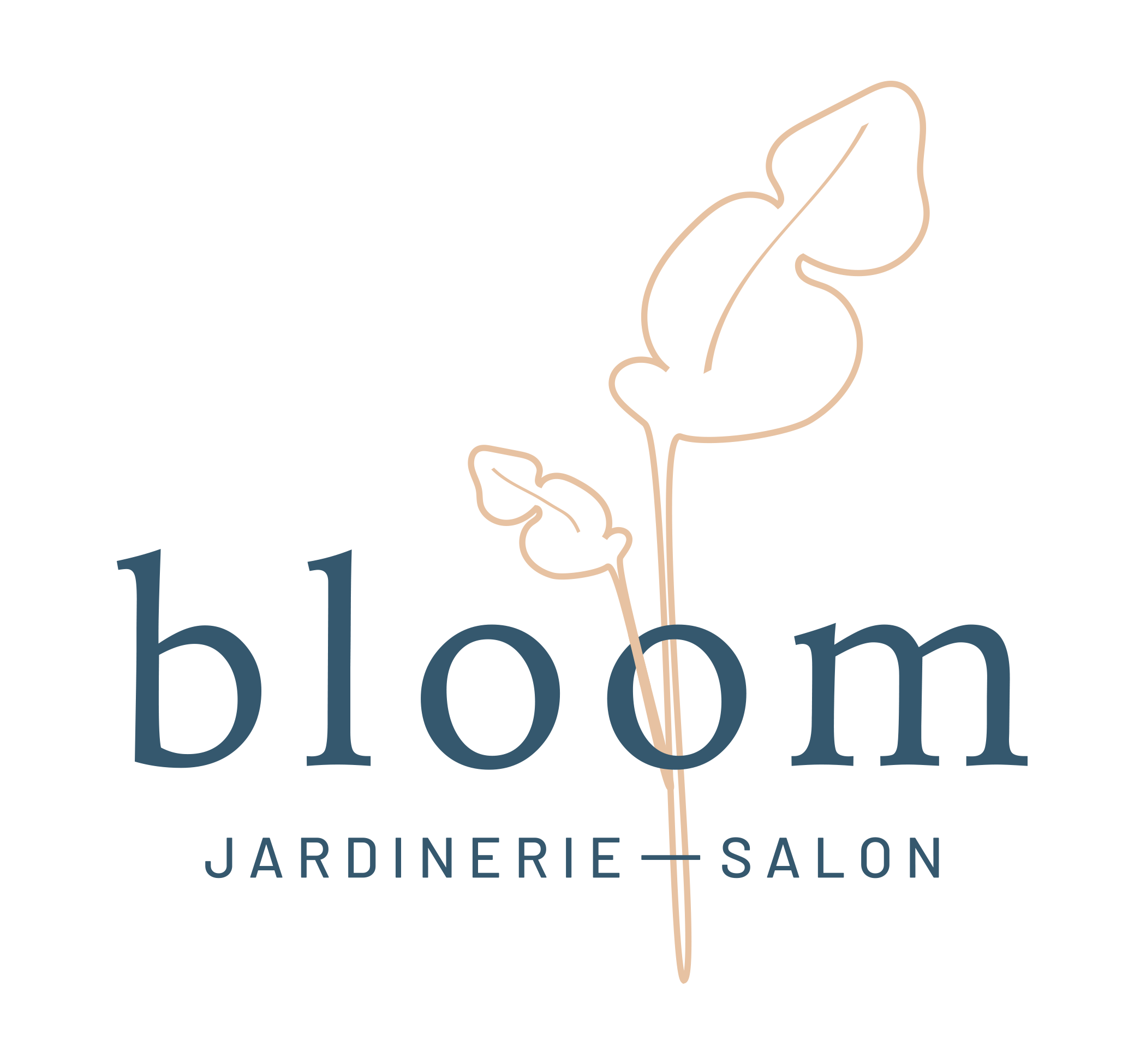 logo mon salon web